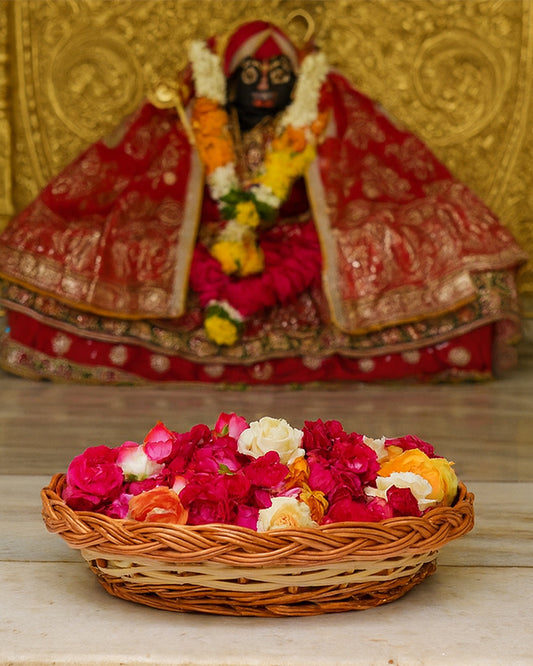 Wicker Baskets | Fruit Baskets | Kitchen Storage Basket | Cane Gift Hamper