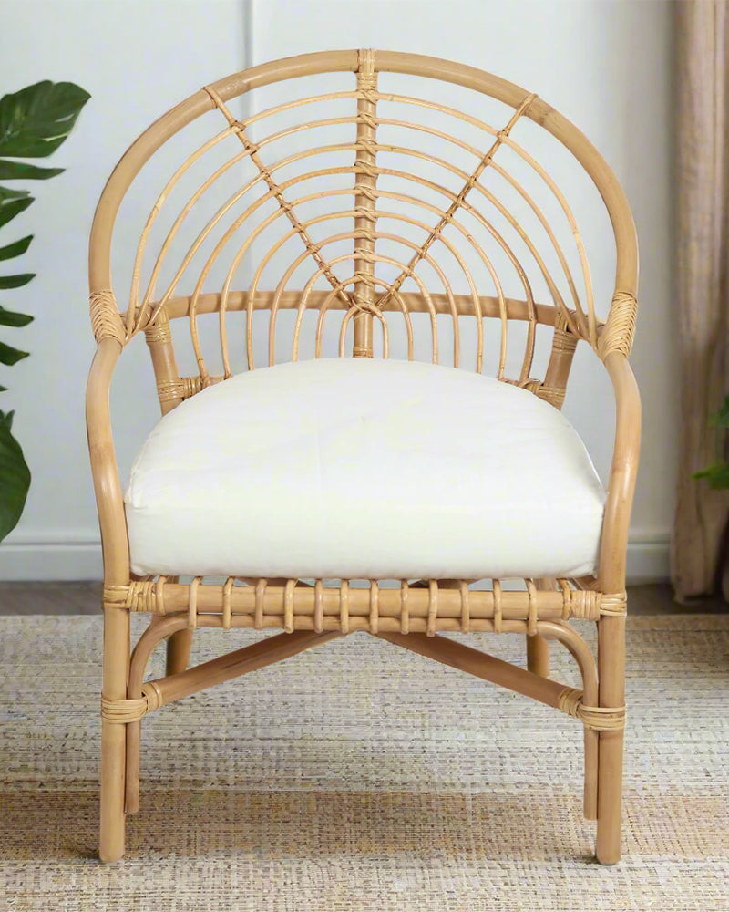 Malawi Chair Cost Plus Wicker Chair Traditional 1-seater Malawi