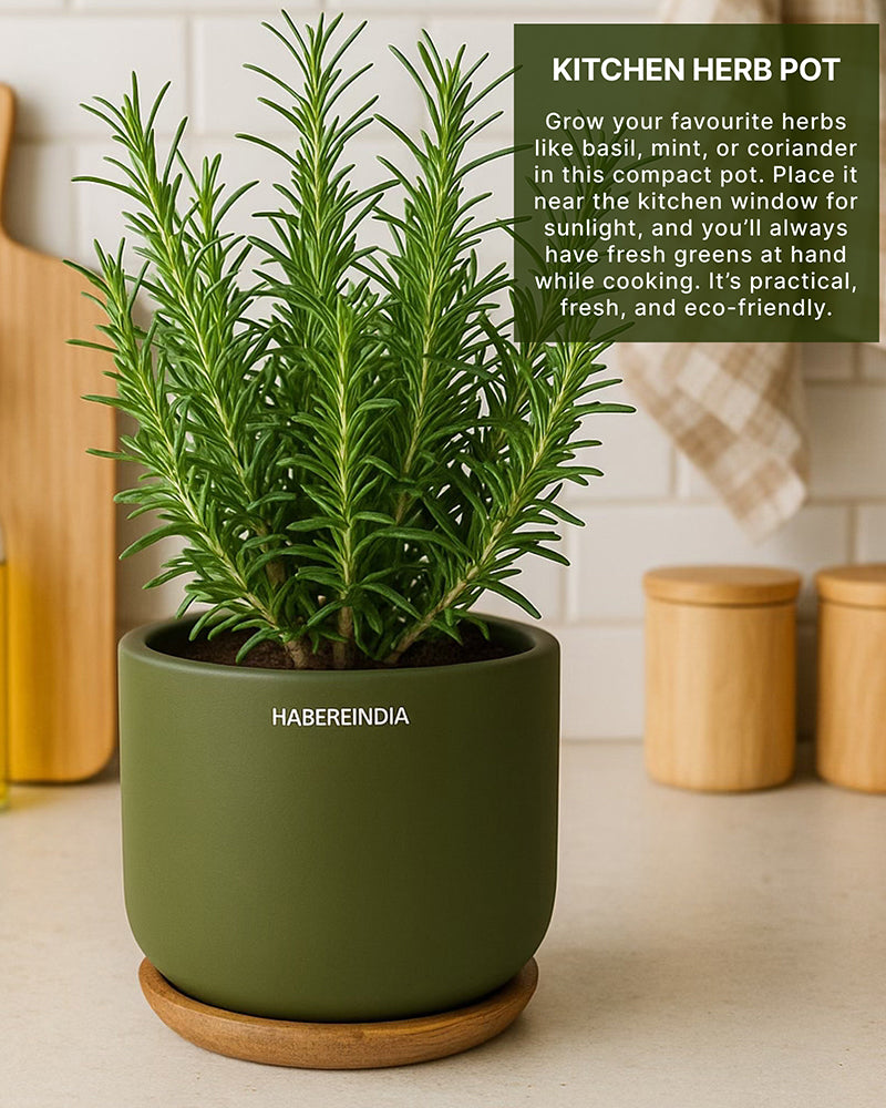 Terracotta Flower Pot For Living Room| Flower Pots for Garden, Dining Table