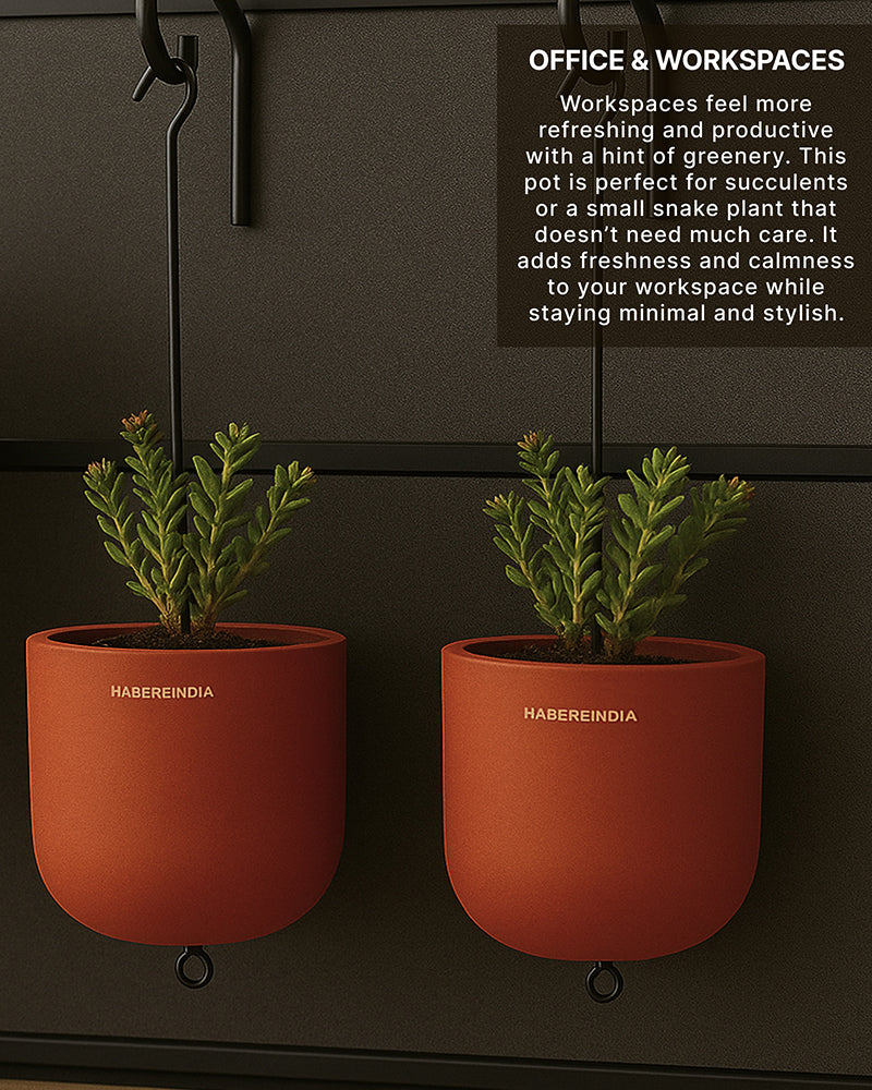 Terracotta Flower Pot for Living Room | Flower Pots for Garden, Dining Table & Home Decor
