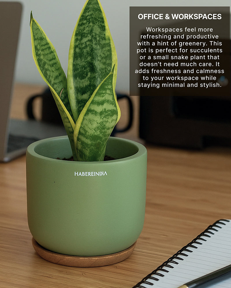 Flower Pots for Garden, Dining Table & Home Decor | Terracotta Flower Pot for Living Room