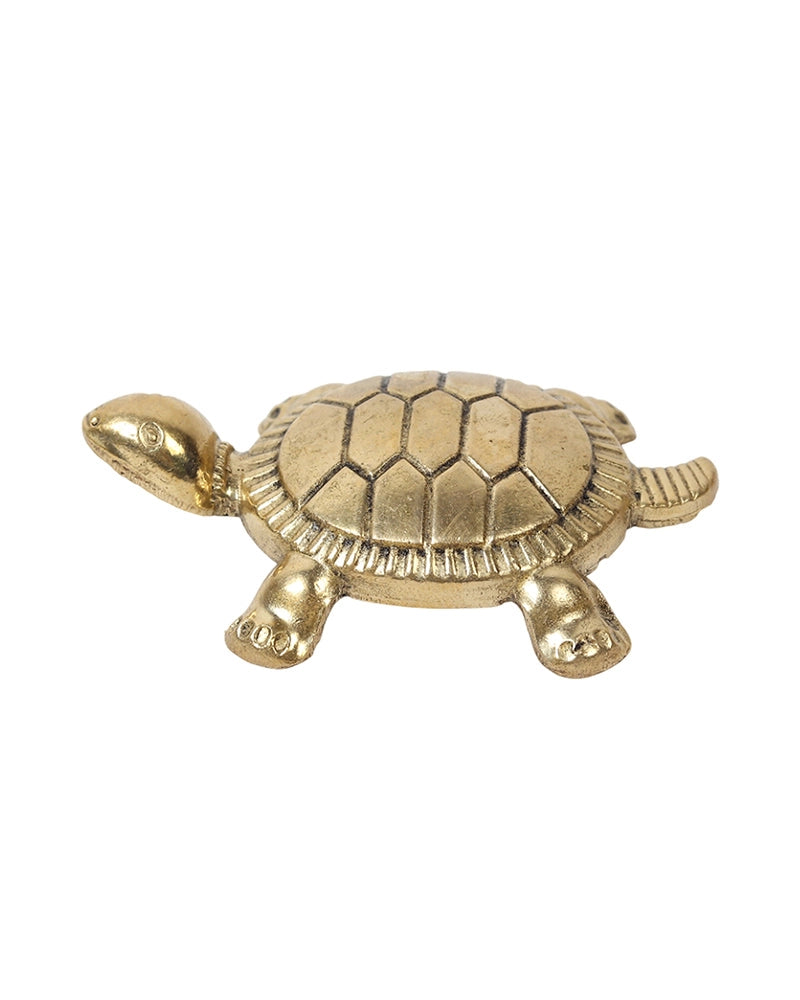 Pure Brass Feng Shui Tortoise for Wealth & Prosperity