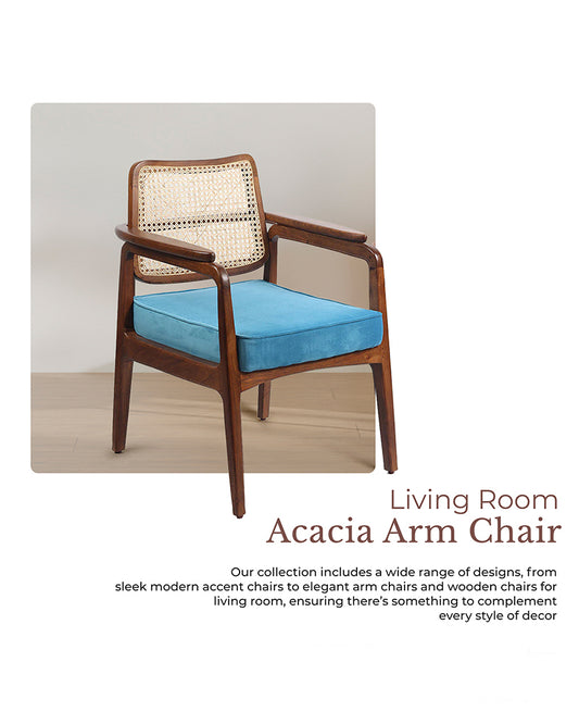 Living Room Furniture Chair | Arm Chairs | Accent Chairs