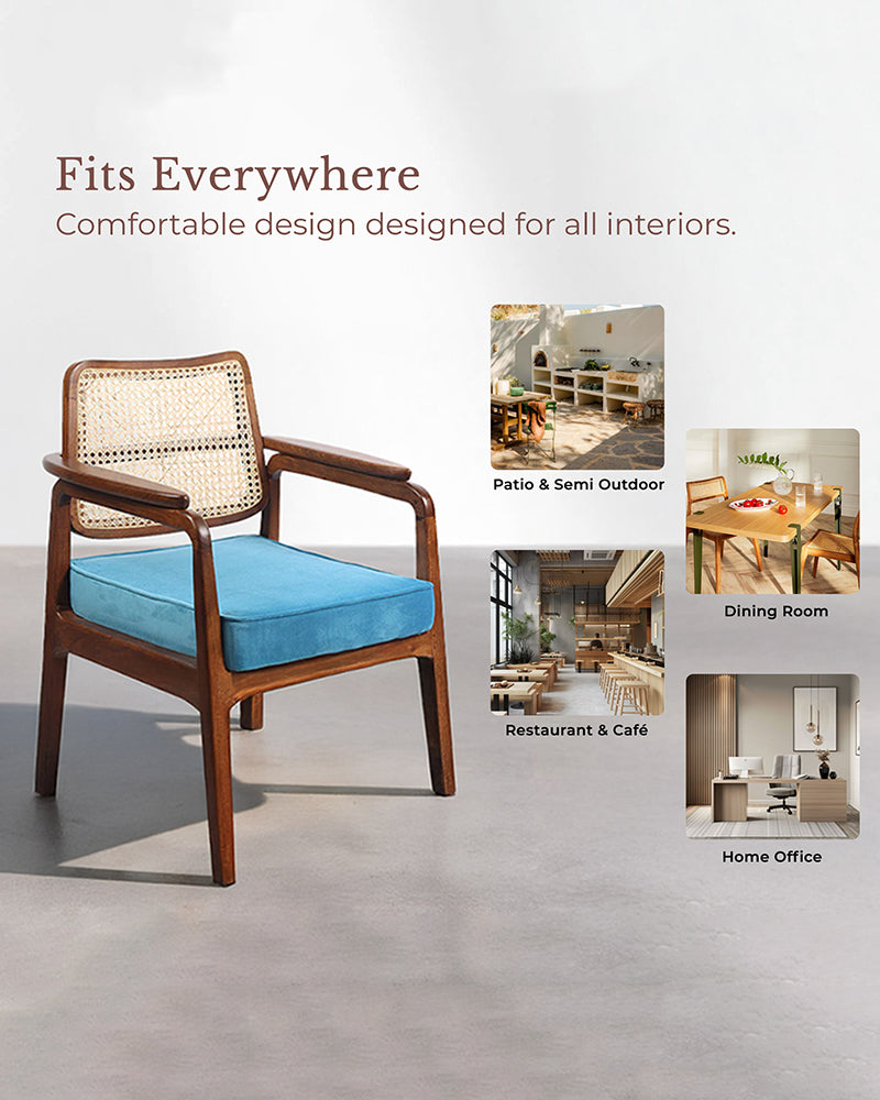 Living Room Furniture Chair | Arm Chairs | Accent Chairs