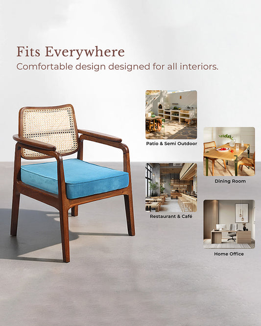 Living Room Furniture Chair | Arm Chairs | Accent Chairs