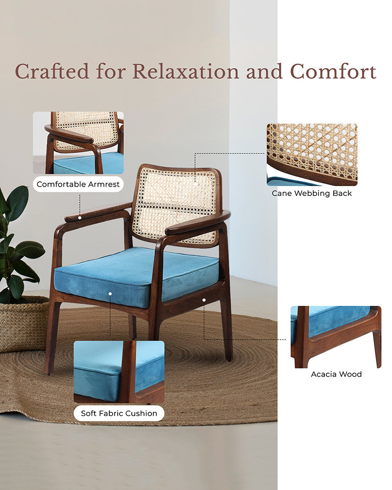 Living Room Furniture Chair | Arm Chairs | Accent Chairs