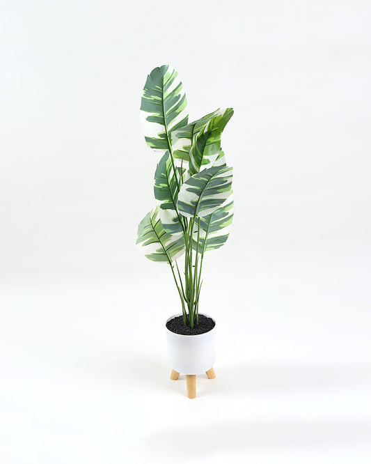 Artificial Plants with Pot