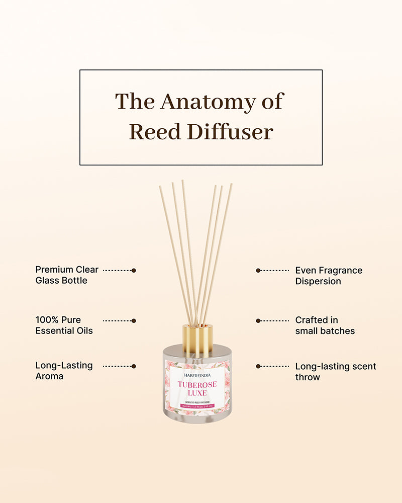 Reed Diffuser Set | Fragrance Oil with Reed Diffuser | Aroma Oil Diffusers for Home