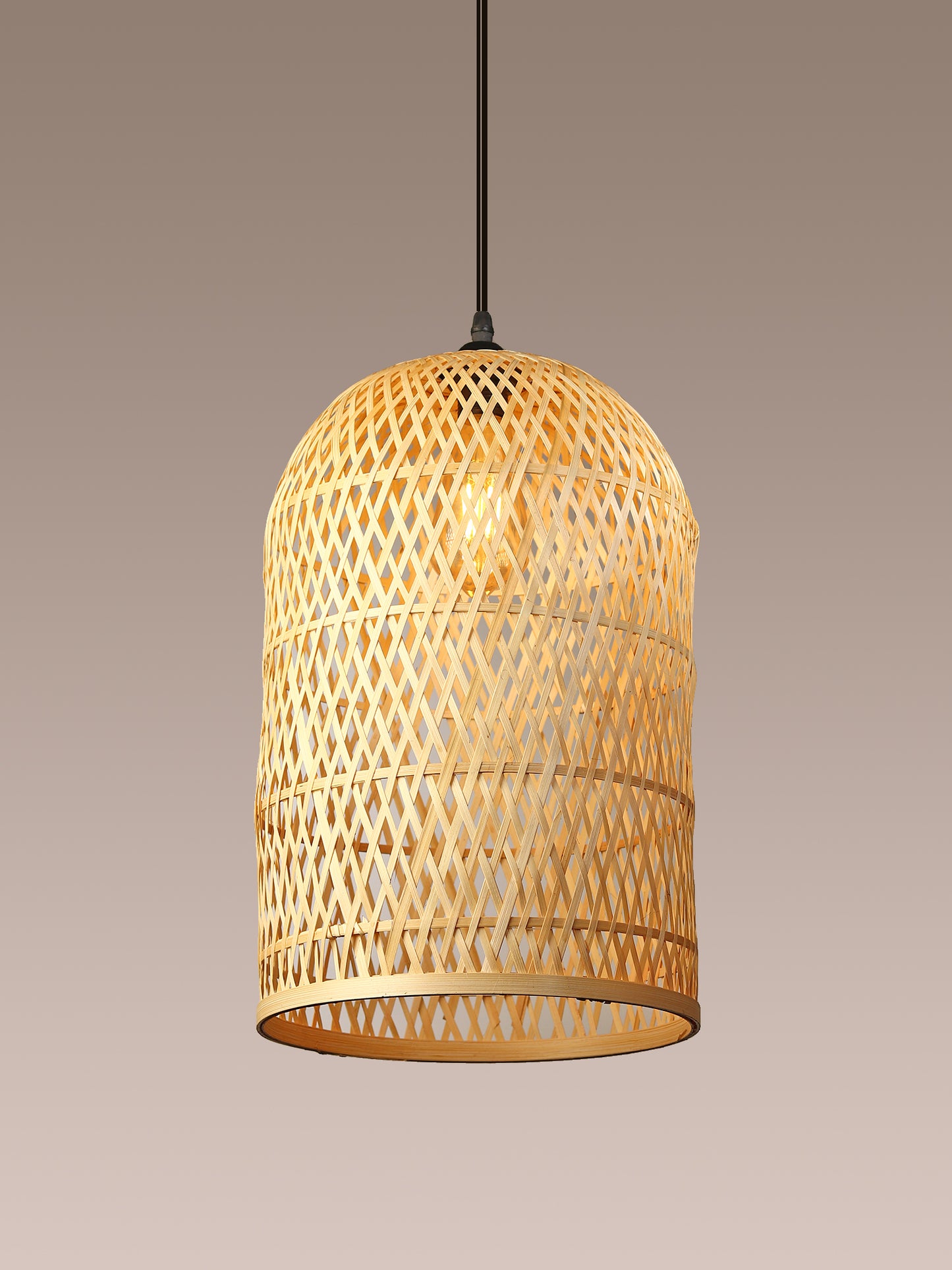 Hanging Pendant Light