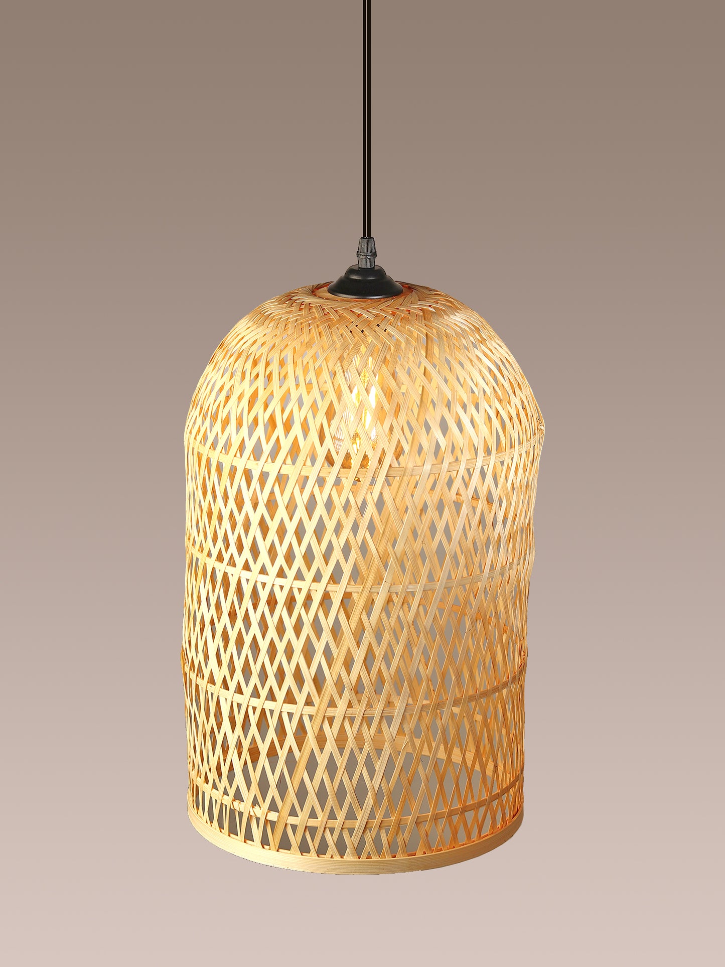 Hanging Pendant Light