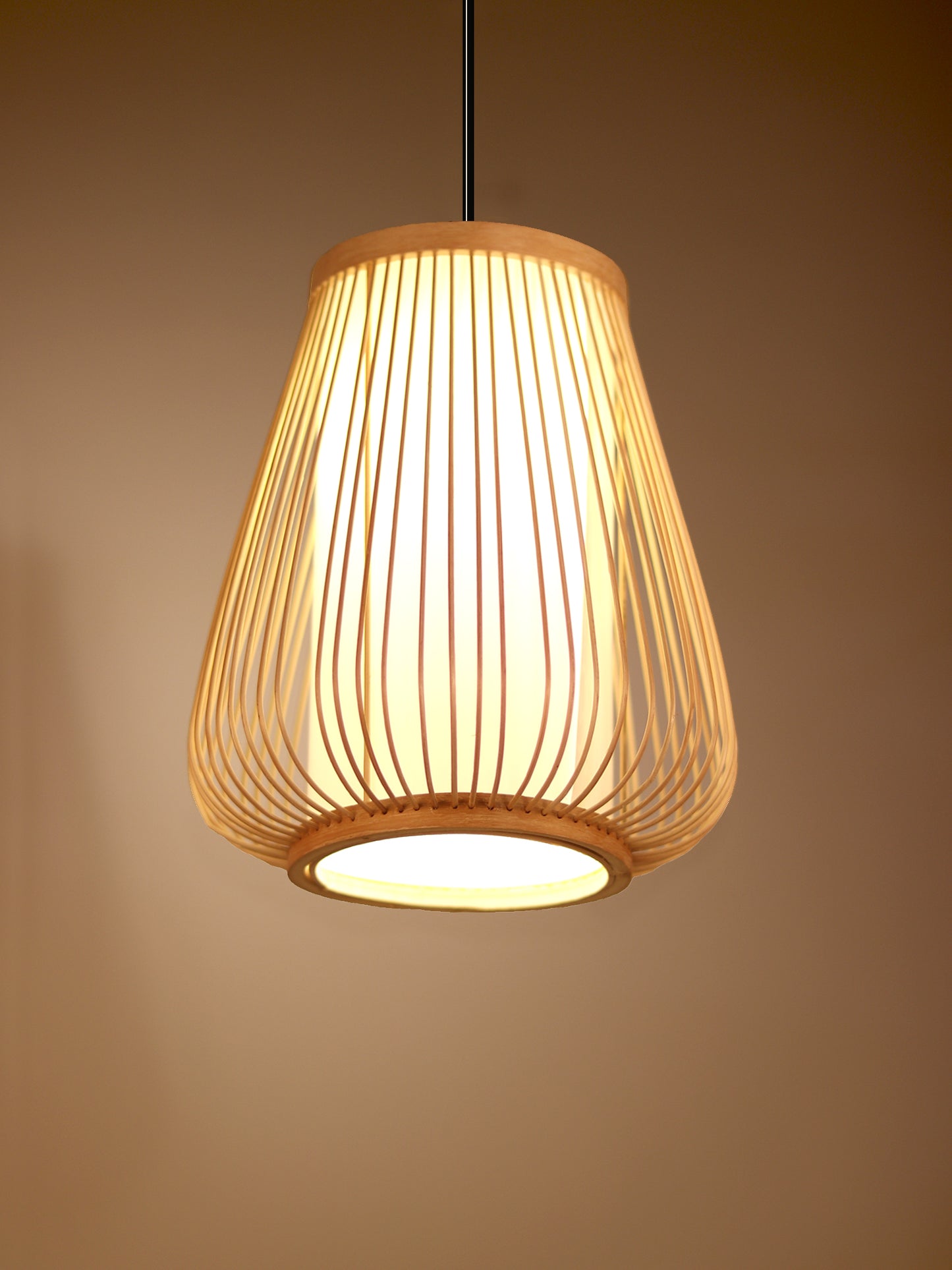 Hanging Pendant Lamp