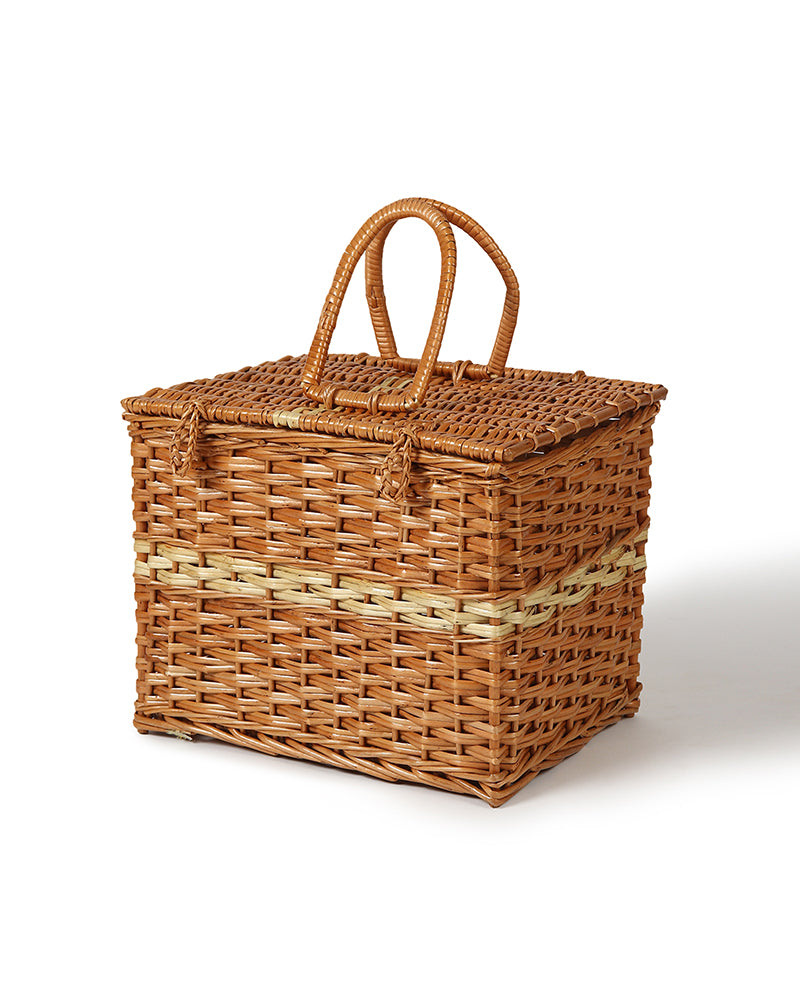 Clothes Storage Trunks