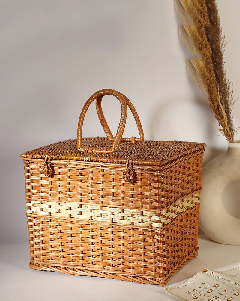 Clothes Storage Trunks