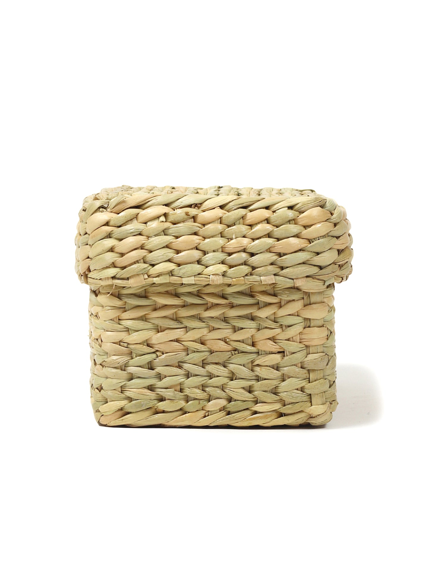 Seagrass Long Lid Box