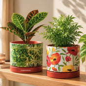 Planters