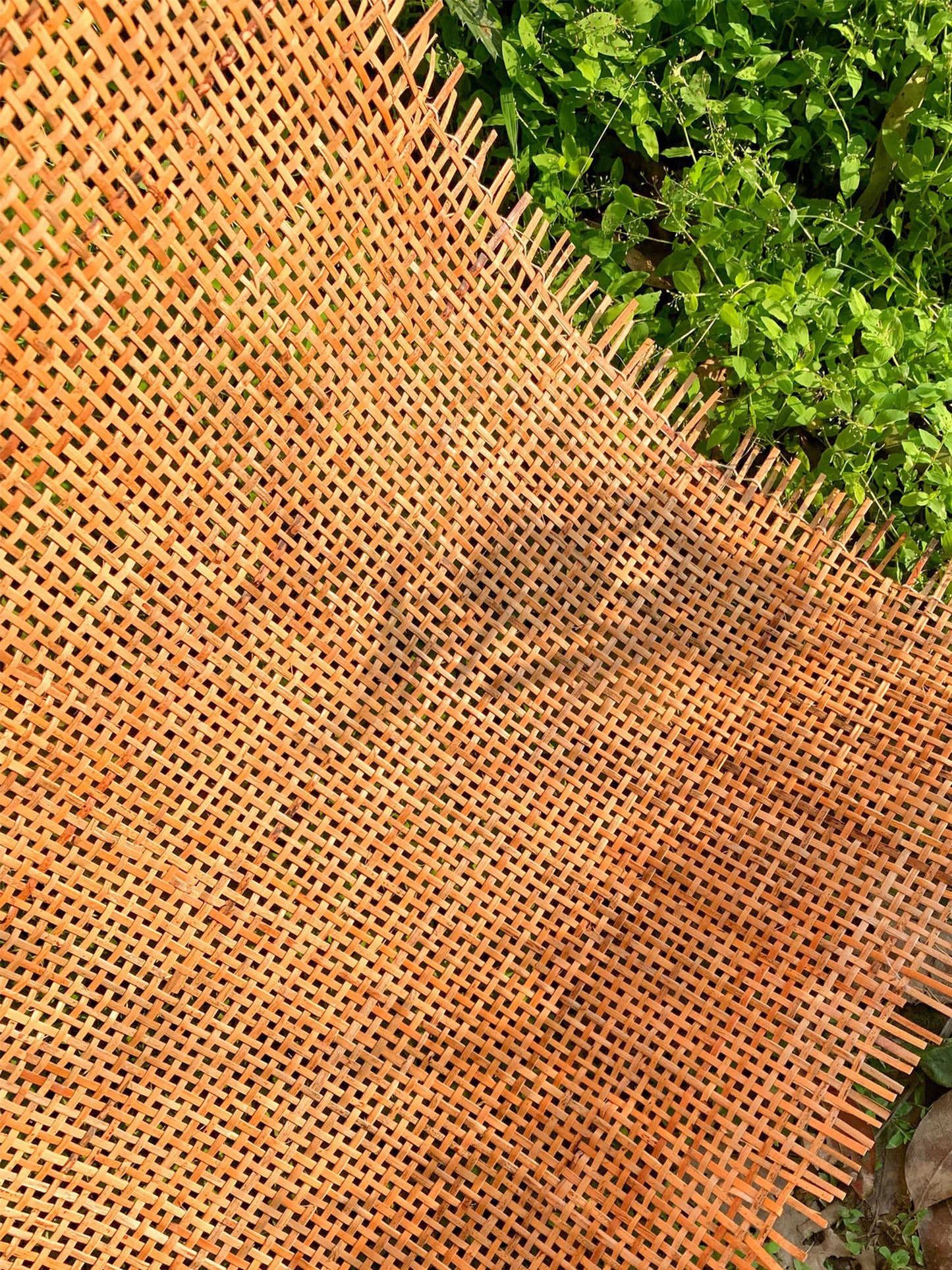 Brown Rattan Webbing