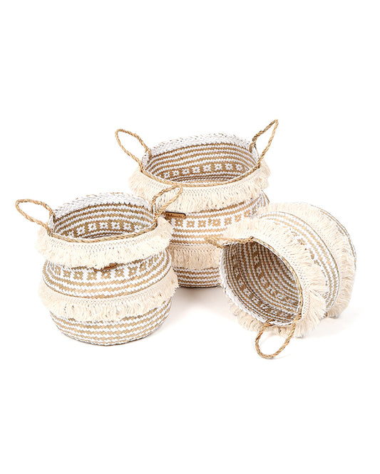 Seagrass Plant & Storage Baskets