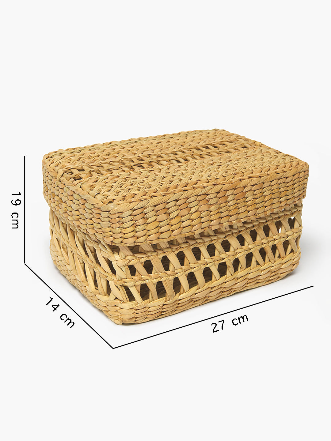 Seagrass Jaali Lid Box