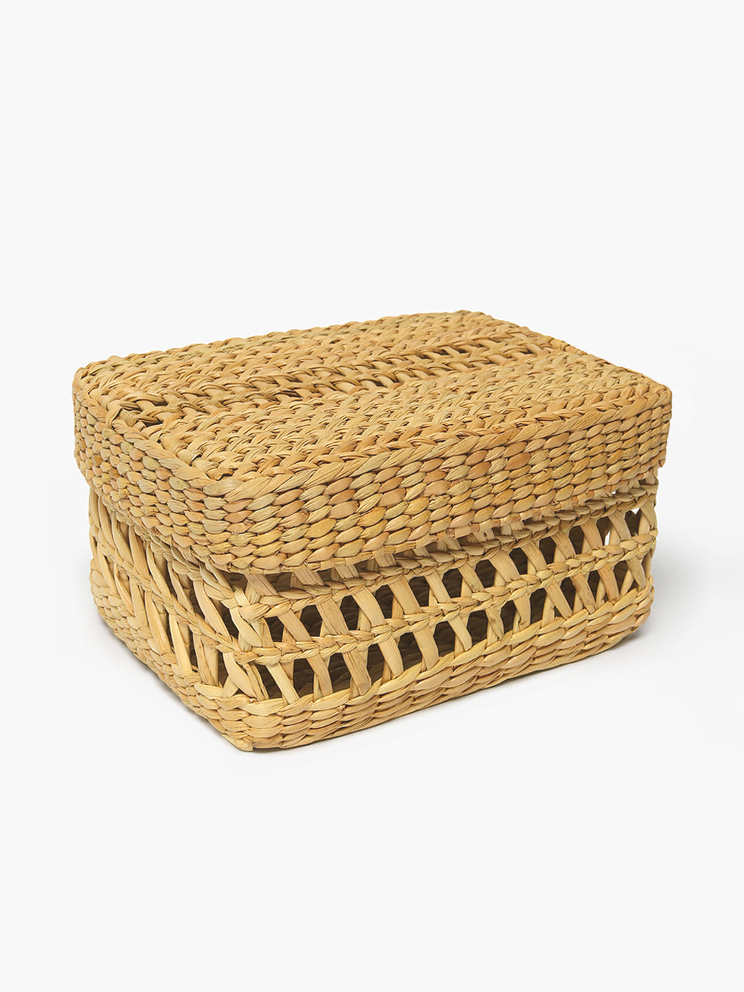 Seagrass Jaali Lid Box
