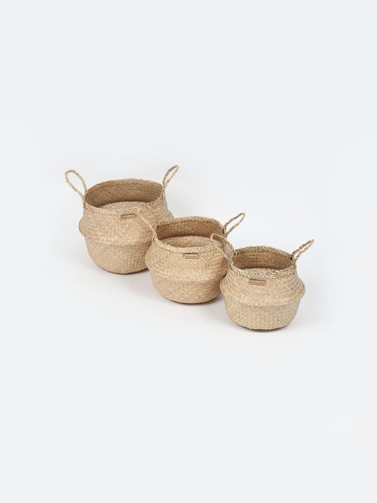 Seagrass Plant & Storage Baskets