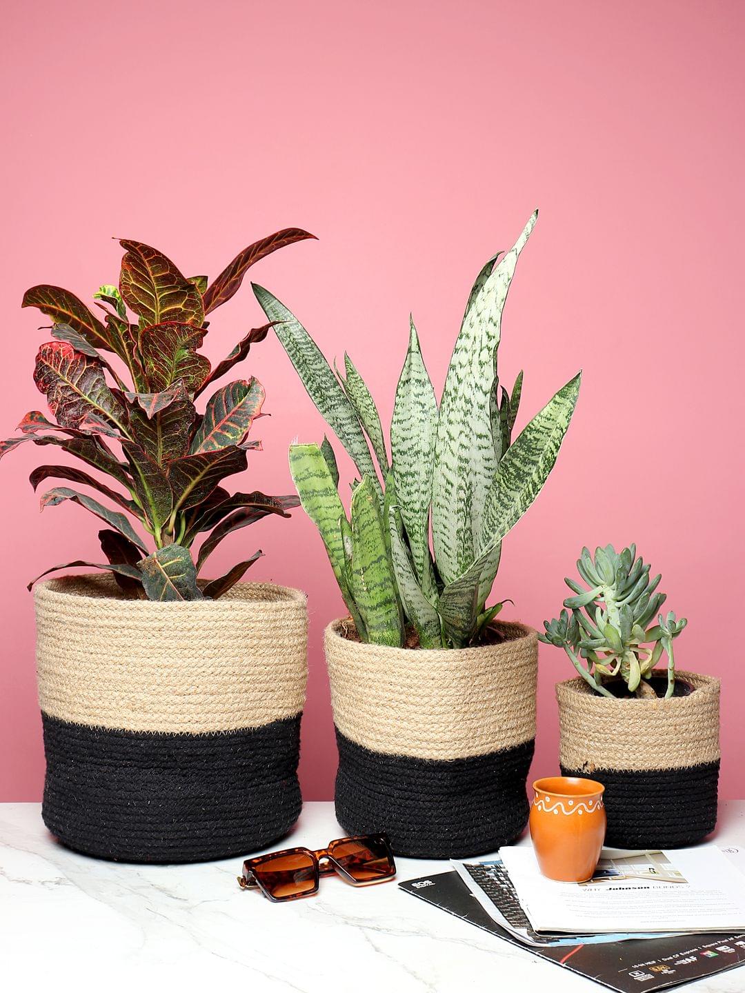 Indoor Planter Basket