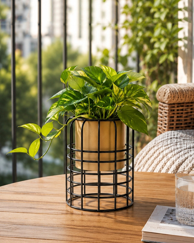 Modern Metal Planter with Stand for Indoor & Outdoor Plant Decoration