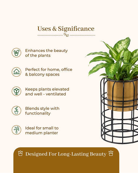 Modern Metal Planter with Stand for Indoor & Outdoor Plant Decoration