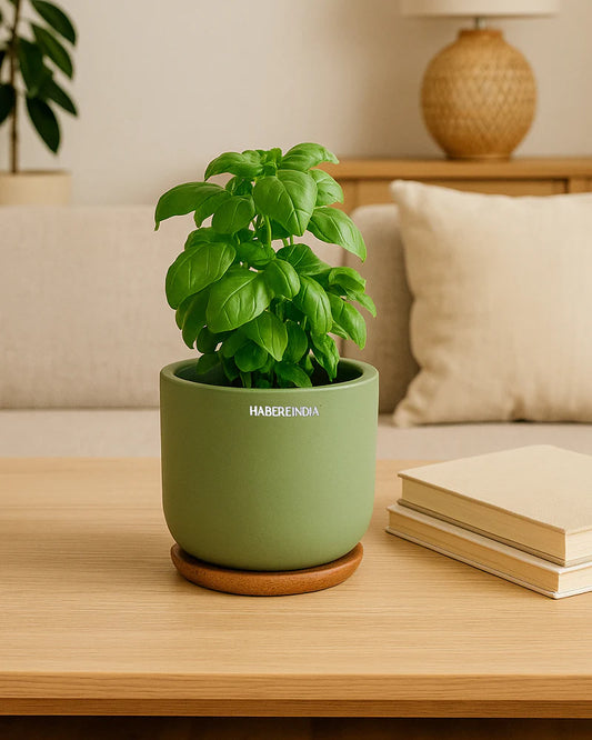 Small Terracotta Pot for Living Room Decoration