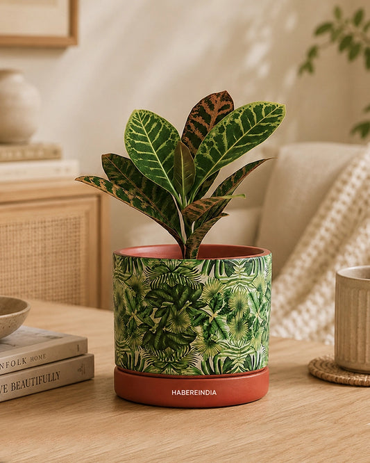 Handcrafted Flower Pot for Garden and Indoor Corners