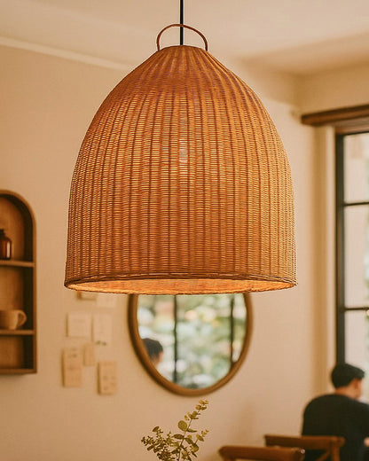 Ceiling Hanging Light for Living Room and Stylish Home Decor