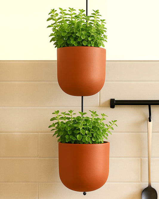 Terracotta Flower Pot for Living Room | Flower Pots for Garden, Dining Table & Home Decor
