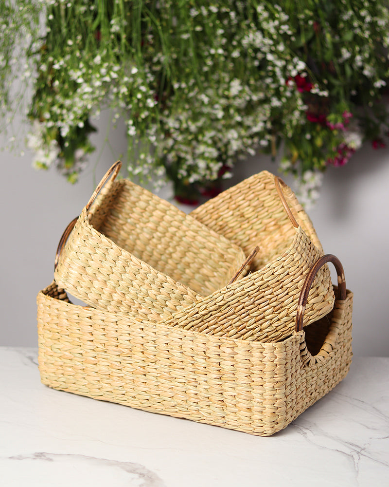 Cane Handle Fruit Hamper Basket