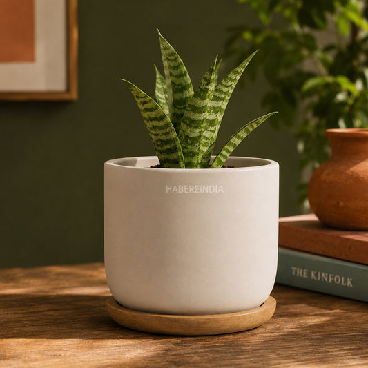 Mini Pot Vase for Tabletop Home Decor Accents