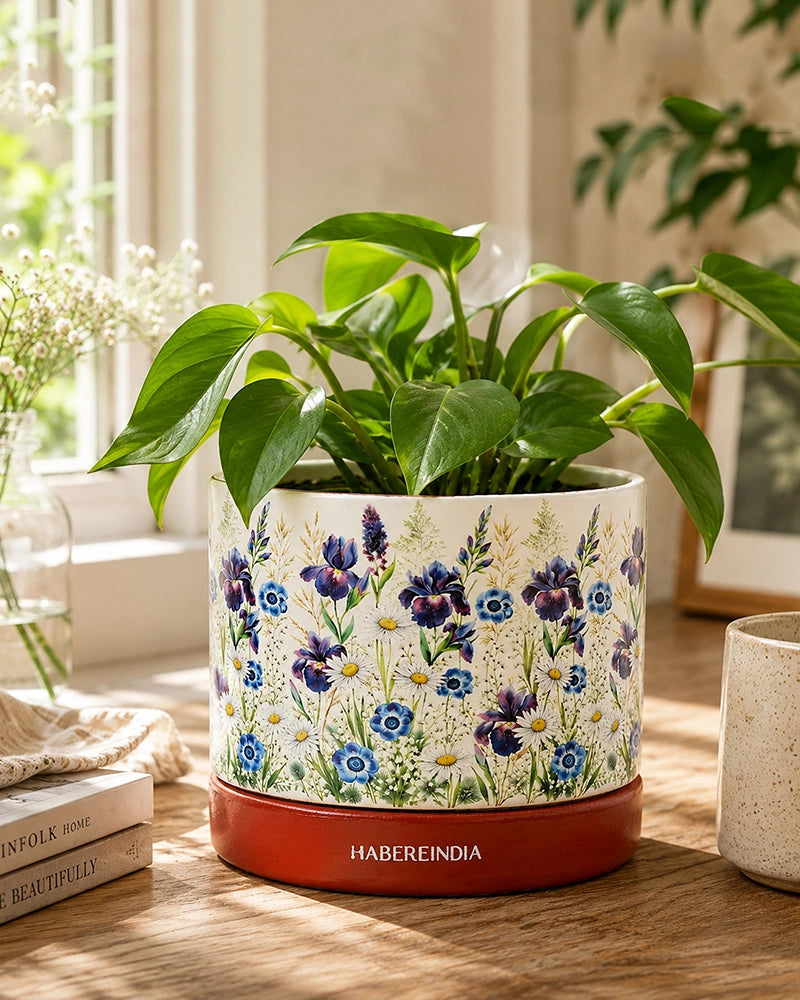 Floral Print Terracotta Planter with Under Plate (Multicolour)