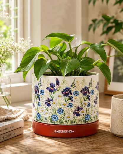 Floral Print Terracotta Planter with Under Plate (Multicolour)