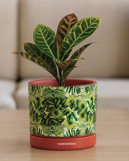 Handcrafted Flower Pot for Garden and Indoor Corners