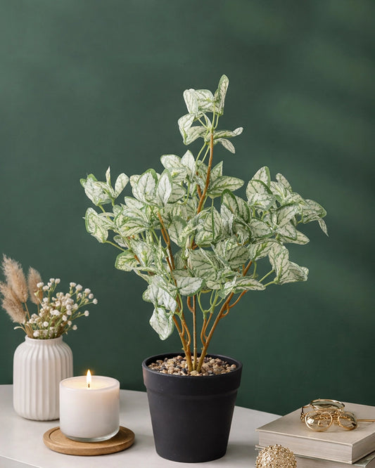 Artificial Green Plant Pot for Living Room and Office Decoration