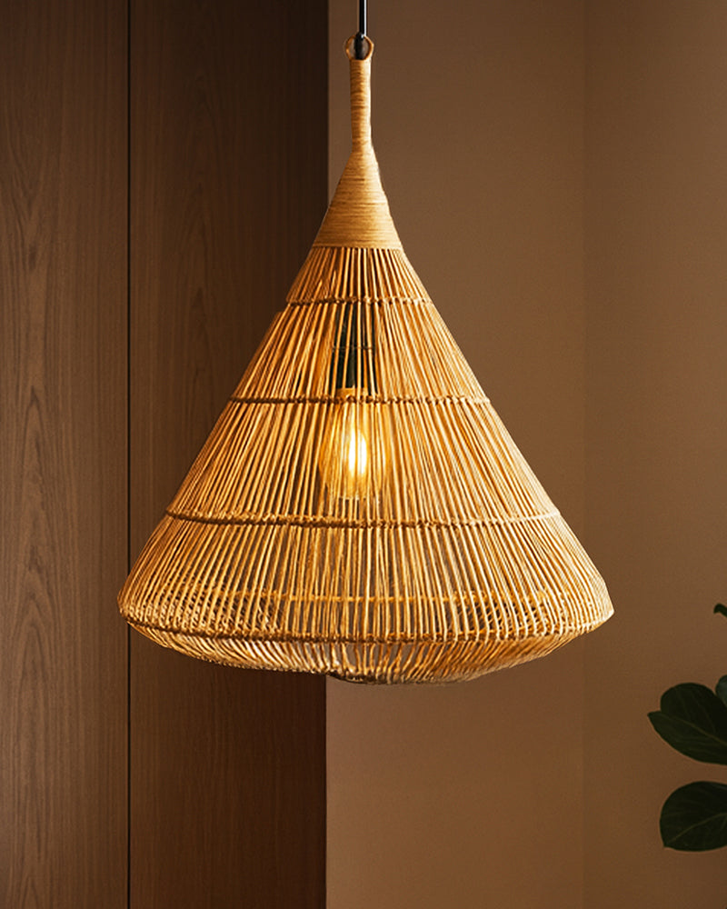 Contemporary Hanging Ceiling Lamp for Home Decoration