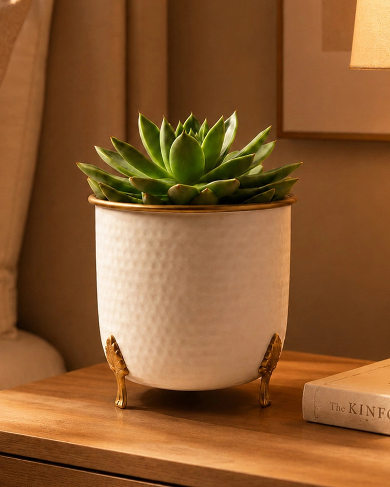 Handcrafted Premium Metal Planter for Home Décor & Living Room, Set of 2