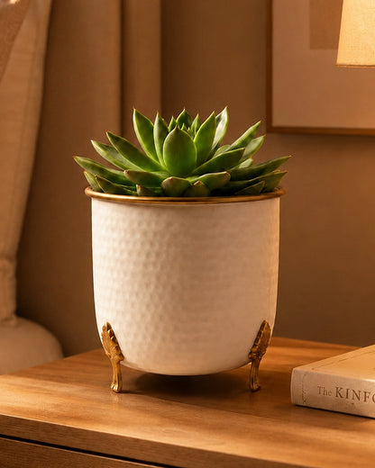 Handcrafted Premium Metal Planter for Home Décor & Living Room, Set of 2