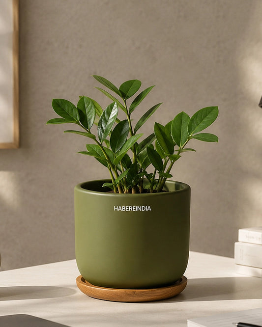 Flower Pot for Garden Use and Indoor Room Styling