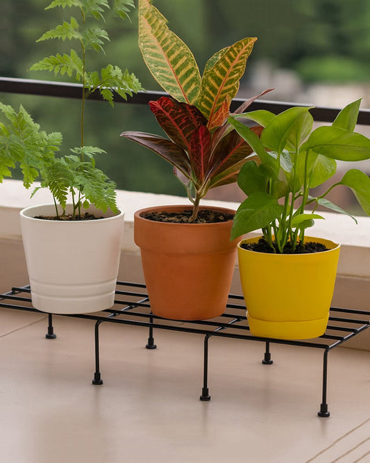 Metal Plant Holder Stand | Plant Pot Stand | Garden Pot Stands for Indoor and Outdoor Use