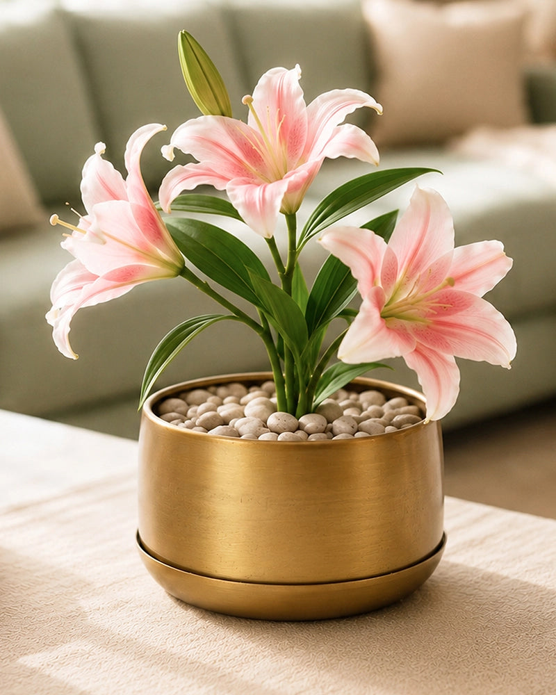 Premium Metal Round Plant Pot with Detachable Plate