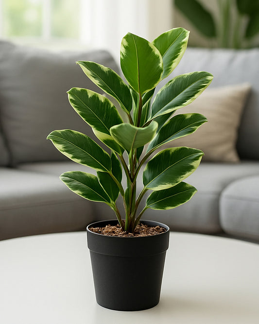 Realistic Artificial Leaves Plant with Pot for Modern Home and Room Decor