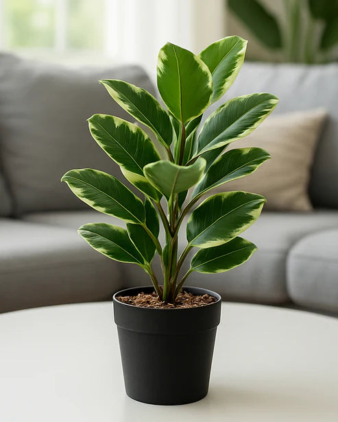 Realistic Artificial Leaves Plant with Pot for Modern Home and Room Decor