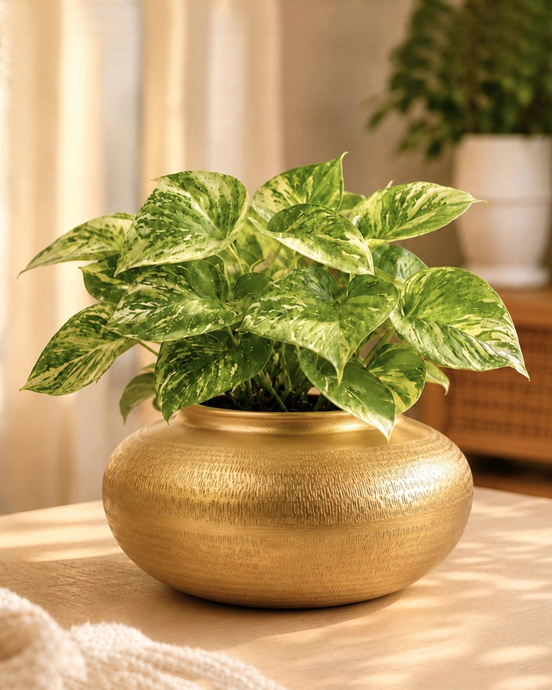 Glossy Metallic Iron Vase for Living Room Tabletop and Home Decor