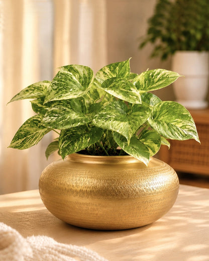 Glossy Metallic Iron Vase for Living Room Tabletop and Home Decor