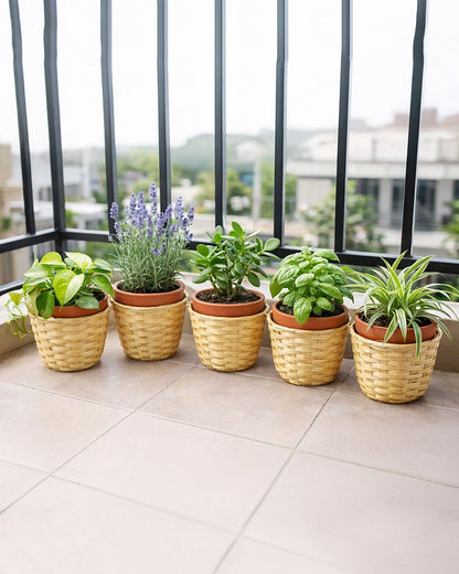 Handwoven Bamboo Planter Baskets for Indoor Plants (Set of 5)