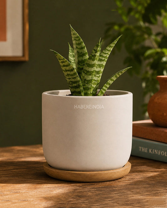 Mini Pot Vase for Tabletop Home Decor Accents