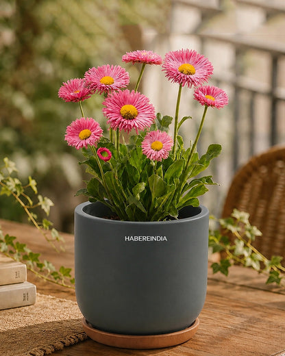 Small Decorative Pot for Home Decoration Items Display